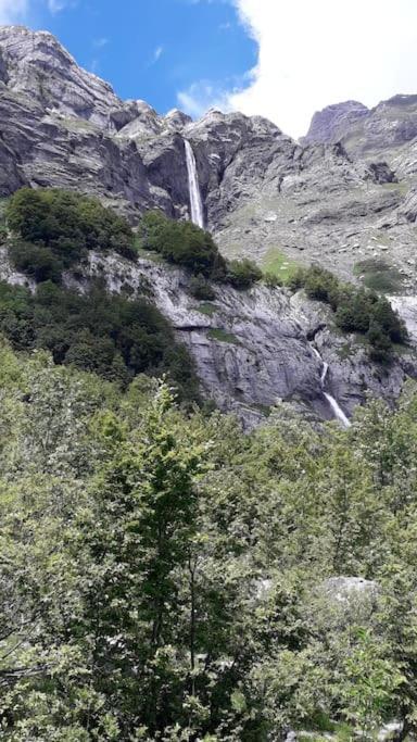 A Cordon entre Bois et Nature Extérieur photo